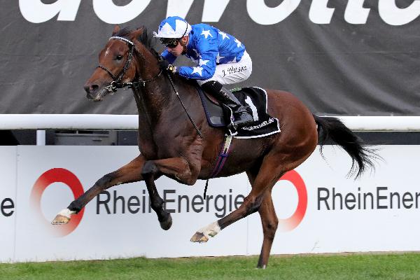Aspetar winning the Group 1 Preis von Europa at  Cologne last year