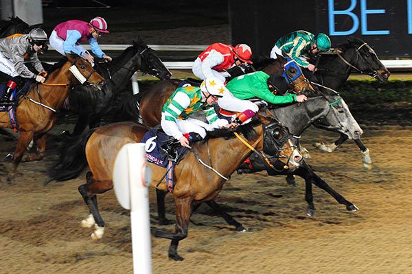 Grey horse Dash D'or prevails in a driving finish