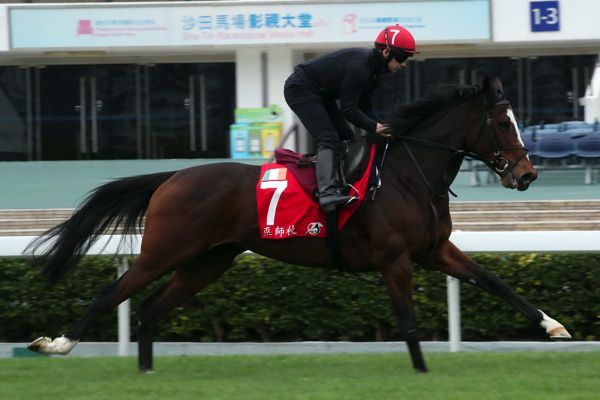 Magic Wand, working at Sha Tin earlier in the week,was just denied in the Hong Kong Cup
