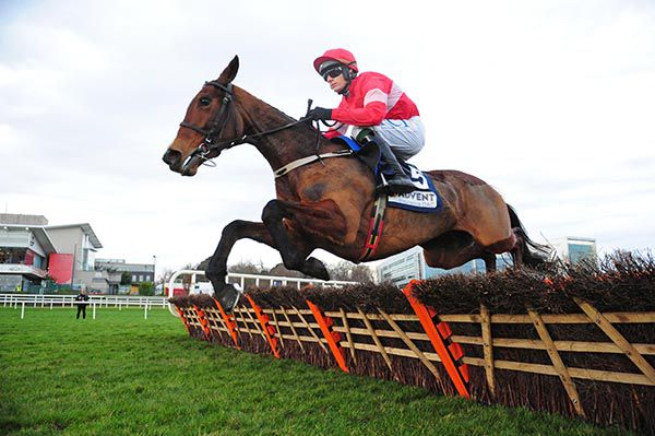 Stormy Ireland and Paul Townend