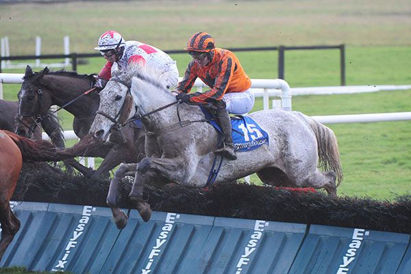 Grey Habit  and Tommy Brett jump an early hurdle