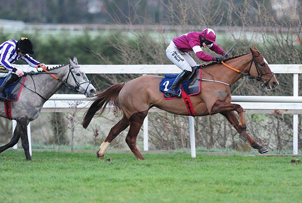 Darling Daughter and Lisa O'Neill win the mares bumper