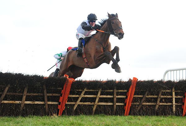 French Dynamite (Robbie Power) jumping the last