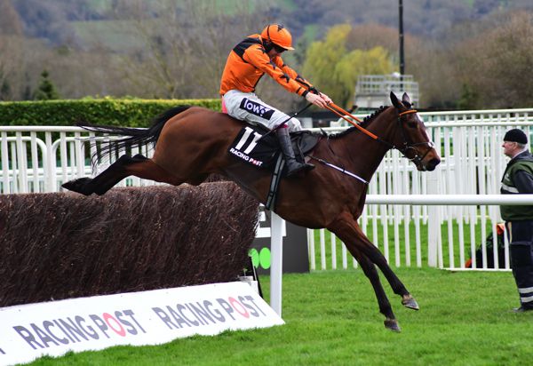 Put The Kettle On (Aidan Coleman) winning the Arkle Chase last month