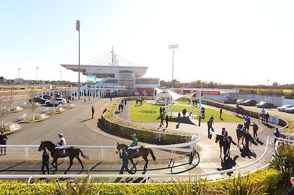 Runners heading to post for a race behind closed doors at Dundalk on Friday