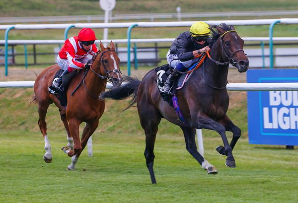 English King (right) seen winning the Lingfield Derby Trial in June