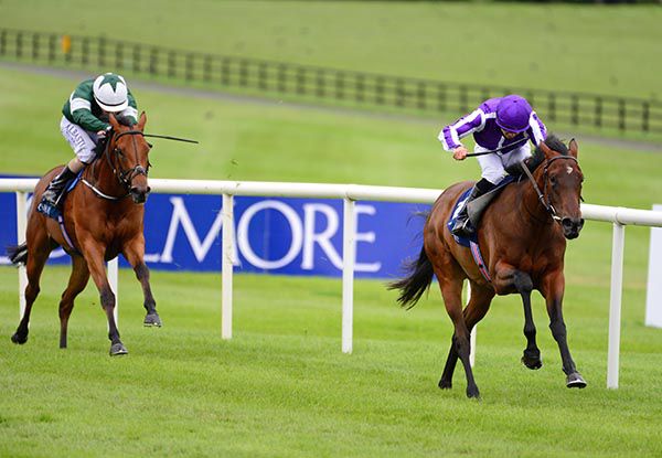 Mother Earth powers to an easy success under Wayne Lordan