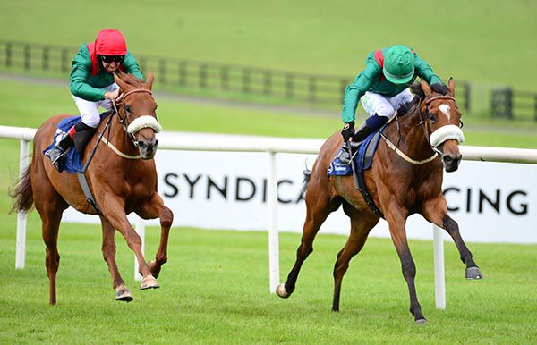 Kassaba (green cap) leads home stable mate Zawara