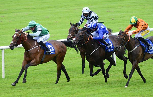 Newgirlintown and Ross Coakley (left) win from Cache Queen (blue and white) 