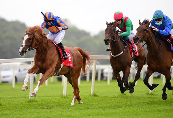SNOW and Wayne Lordan win the Munster Oaks  (Group 3) from Snapraeceps (right)