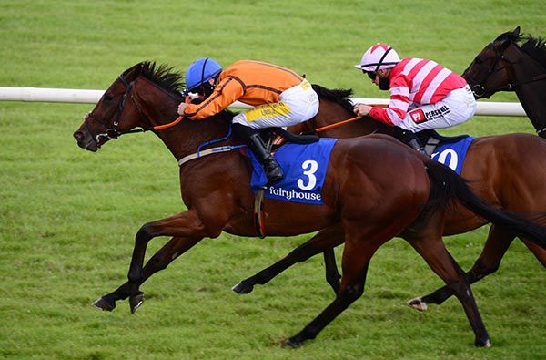 Lincoln and Joey Sheridan (near side) win the Ratoath Pharmacy Handicap from Pulsating 