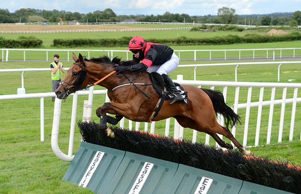 The Greatwood Hurdle is a possibility for Politicise