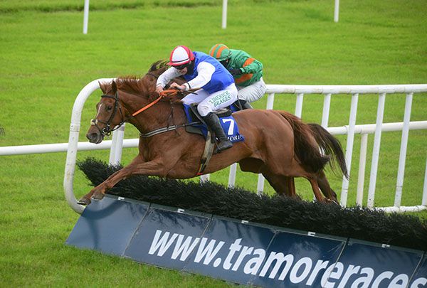 Imperial Choice (Cathal Landers) leads from Elegant Lass (Darragh O'Keeffe)