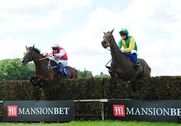 Davids Charm and Phillip Enright (left) jump the last as Convara takes a tumble