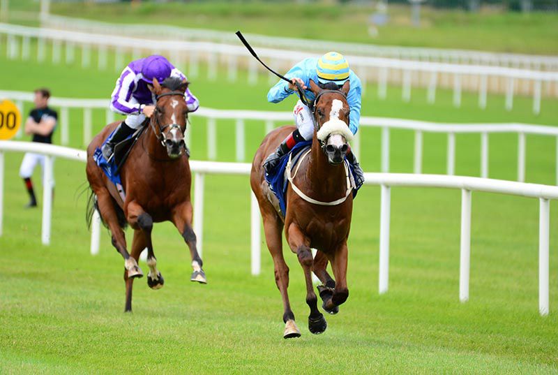 St Mark's Basilica chases home Coill Avon at the Curragh