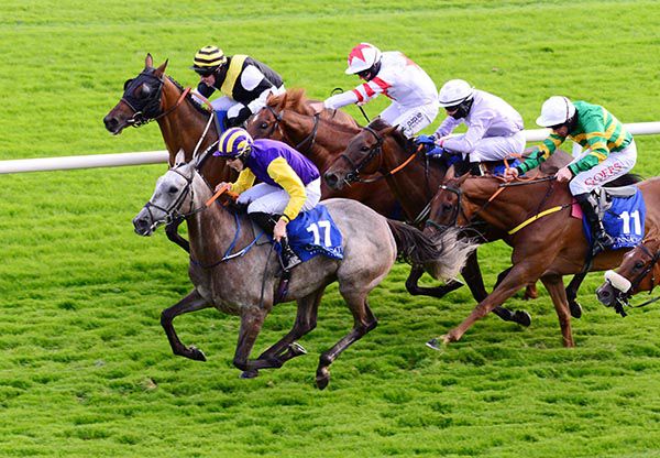 Finny and Princess Zoe winning the Connacht Hotel QR Handicap at Galway