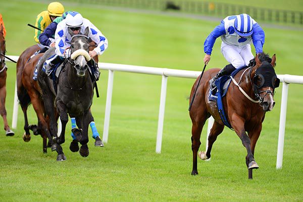 Nullifier and Gary Carroll (right) win the Naas Handicap from Lustown Baba (noseband)