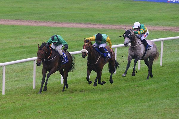 Bright Flame and Shane Kelly (left) win from Mountain Fox (noseband) and Demi Plie