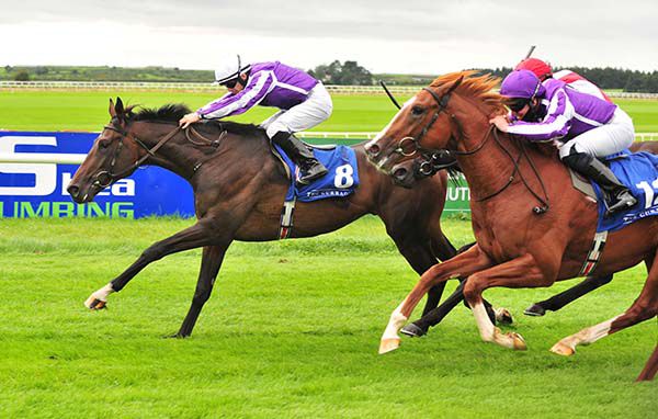 High Definition and Wayne Lordan (white cap) beat stablemate Wordsworth (near side)