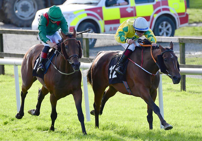 Effernock Fizz (right) sees off the challenge of Bashiyr
