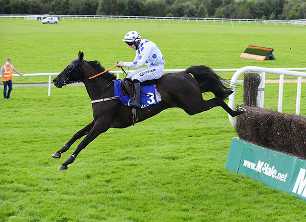 Doctor Duffy and Kevin Brouder jump the last to win the McHale Mayo National