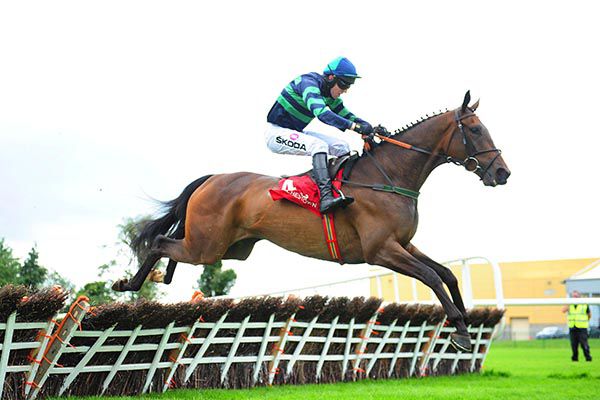 Dewcup - back in search of a 4th Punchestown win