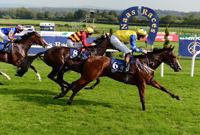 Keeper Of Time leads home her rivals under Donagh O'Connor
