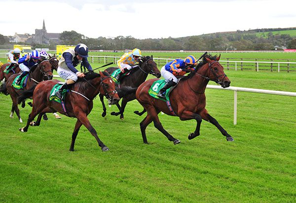 Matchless fends off Laelaps