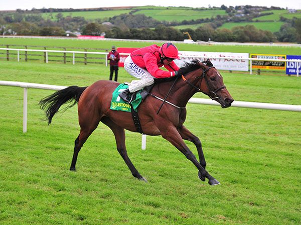 Lady Wannabe strides in at Listowel