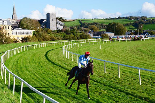 Costalotmore turns into the home straight at Listowel with an unassailable lead