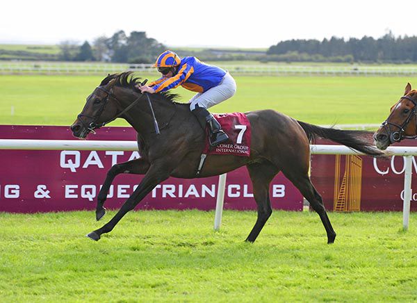 Dawn Patrol relishes two miles in the Curragh