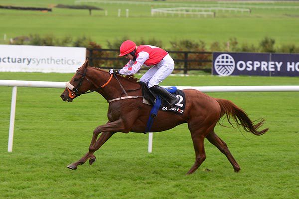 Colonel Mustard winning at Punchestown this week