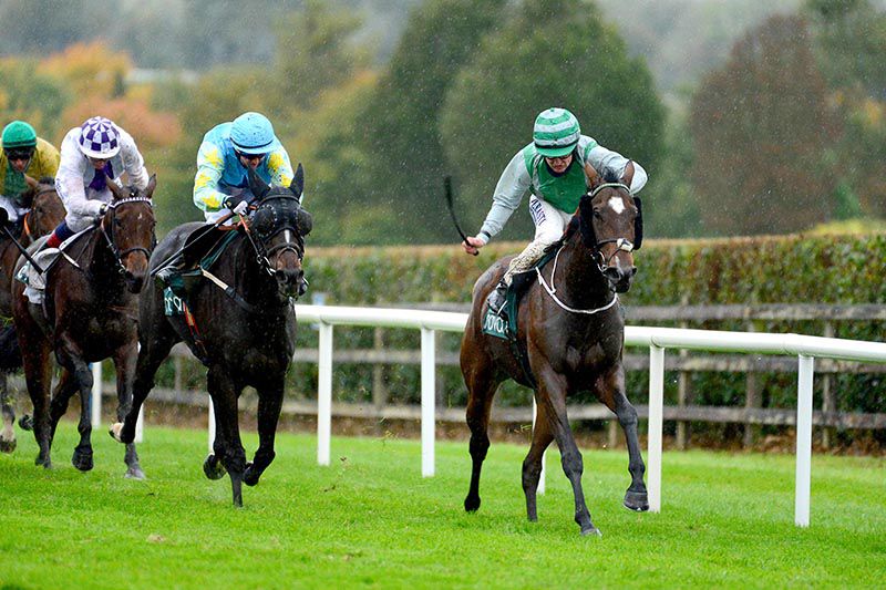 Newgirlintown and Shane Foley (right) win from Giorni Felice (blue and yellow)