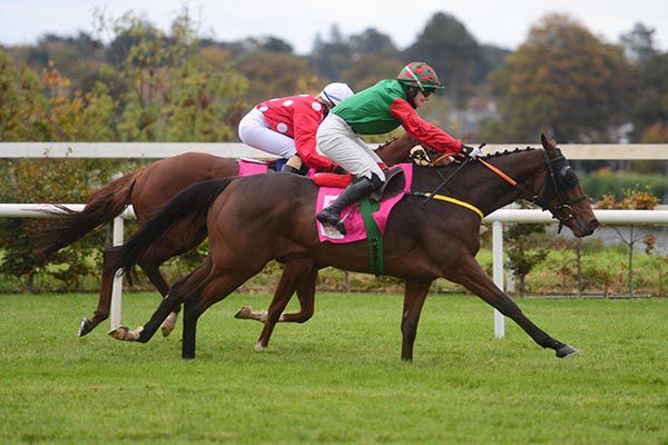 Future Proof gets the better of Call Me Dolly