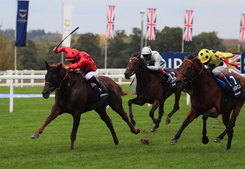 The Revenant (red) wins the Queen Elizabeth II Stakes from Roseman (right) 