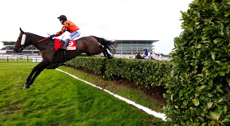 Action from a crowdless Cheltenham earlier this month