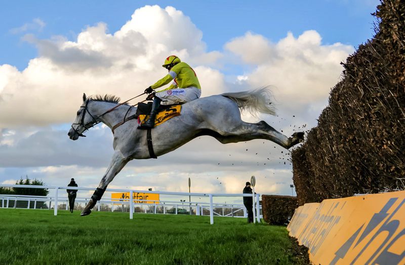 Politologue and Harry Skelton in action at Sandown