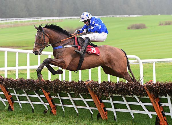 Street Value and Barry John Foley jumping the last at Gowran Park