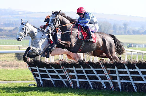 Panda Boy comes to win his race over the last in Punchestown