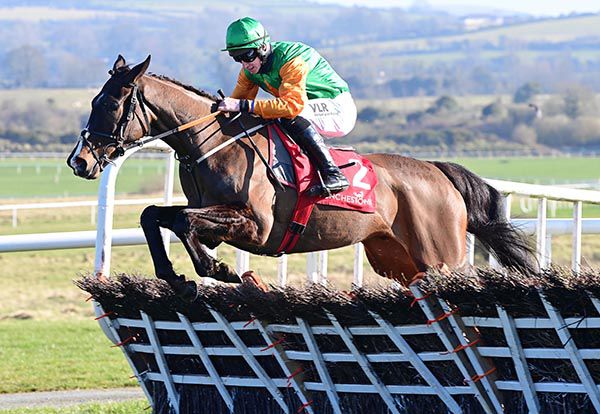 Papal Lodge makes the breakthrough over hurdles