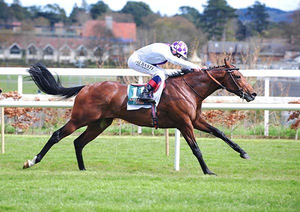 2,000 Guineas winner Poetic Flare tries to double up in the French equivalent on Sunday