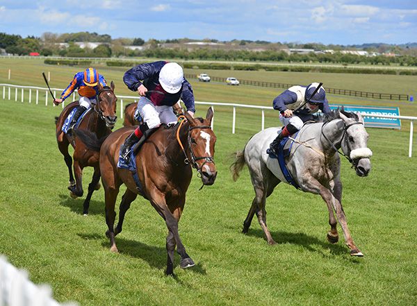 Insinuendo and Declan McDonogh (left) win from the grey Thunder Kiss  