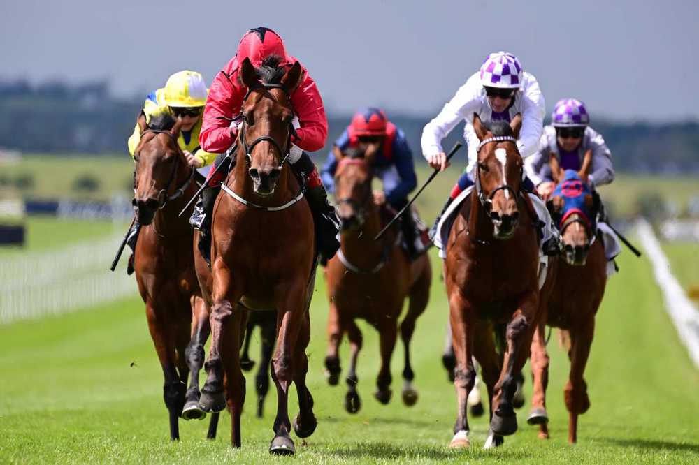 Castle Star (red) winning the Marble Hill Stakes in May