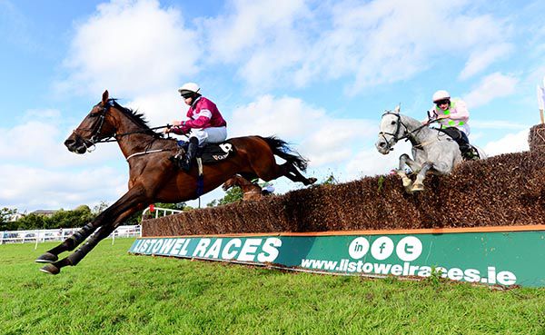 Assemble and Shane Fitzgerald jump the last ahead of Annamix

