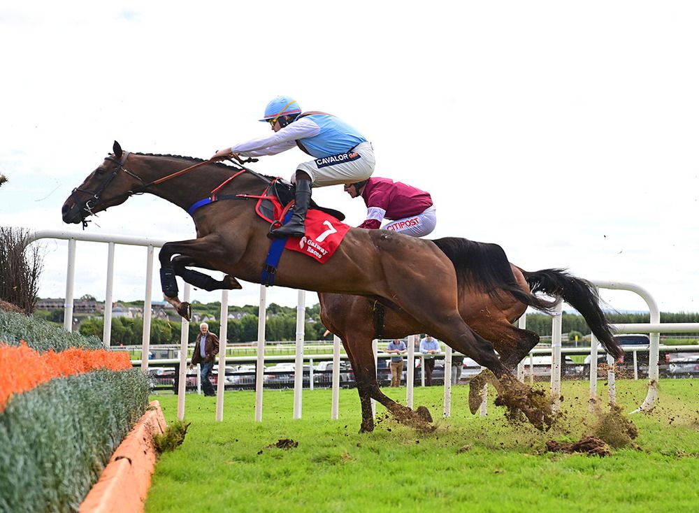 Politesse and Conor Orr at Galway 