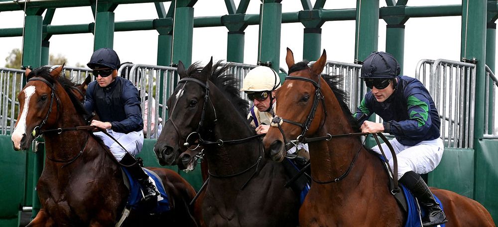 Naval Force and Gavin Ryan (right) break from stalls