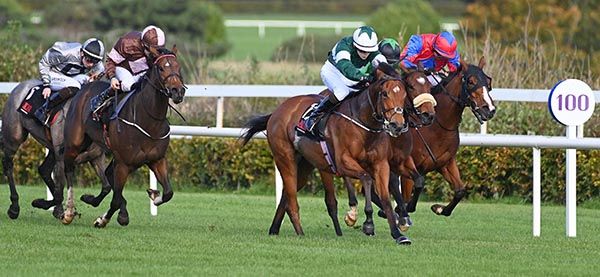 Yuzu and Keithen Kennedy win the GAIN The Advantage Series Handicap Healy Racing Photo