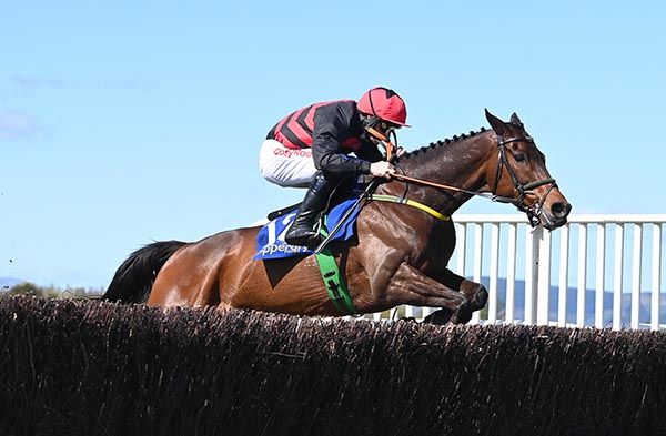 Pinkerton off the mark over fences