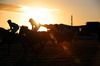 Bumper race action from Fairyhouse 10-02-10