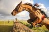 Close up study of Becauseicouldntsee and Paul Carberry at Fairyhouse 10-02-10